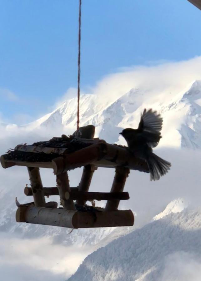Chalet Lodge Oberig Exclusive Villard-Reculas Dış mekan fotoğraf